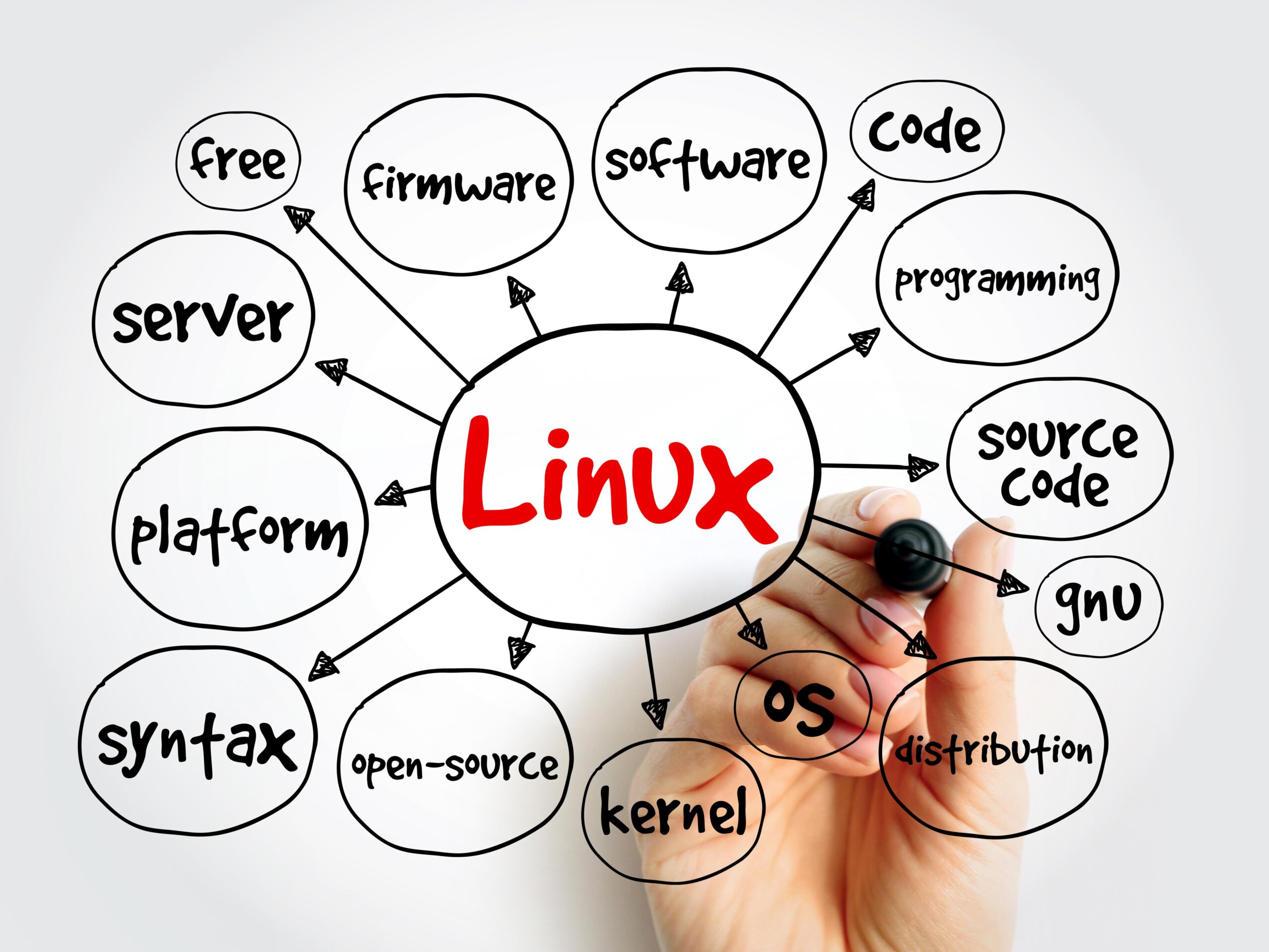 Webinar: Linux and Open Source – Examples of alternative, independent software solutions