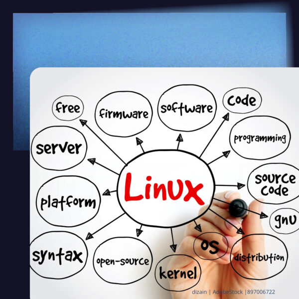 Linux & Open Source: Smarte Alternativen für mehr Unabhängigkeit